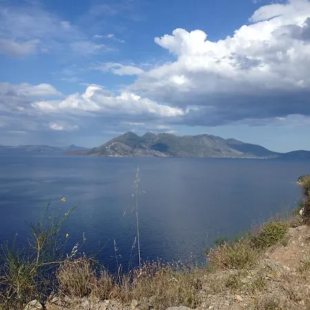 Nikos Daire